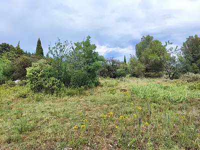 Terrain, 1 013 m²