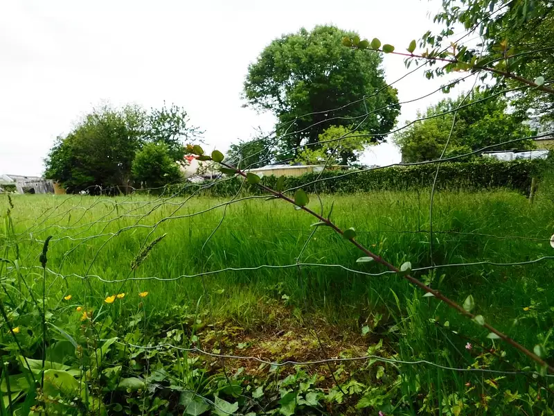 Terrain, 875 m²