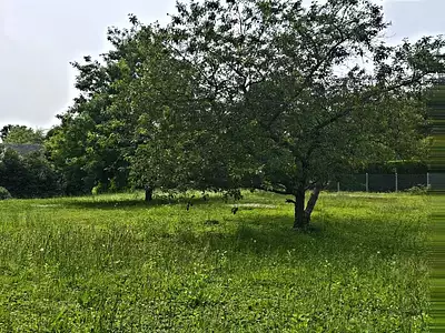 Maison, 174 m²
