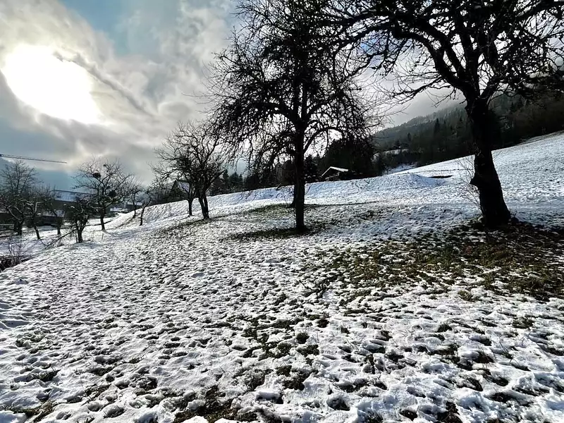 Terrain, 1 164 m²