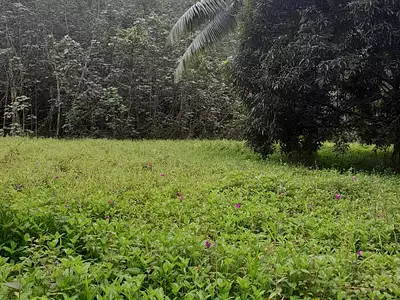 Terrain, 23 000 m²