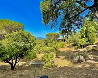 Appartement, 41,24 m²