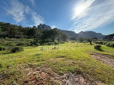 Terrain, 47 984 m²