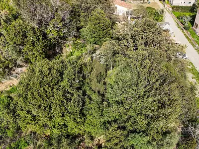 Terrain, 2 259 m²
