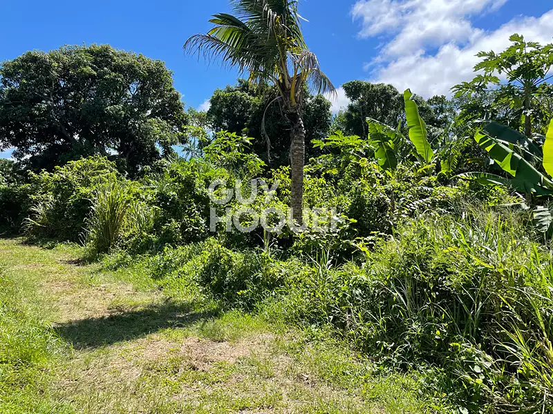 Terrain, 589 m²