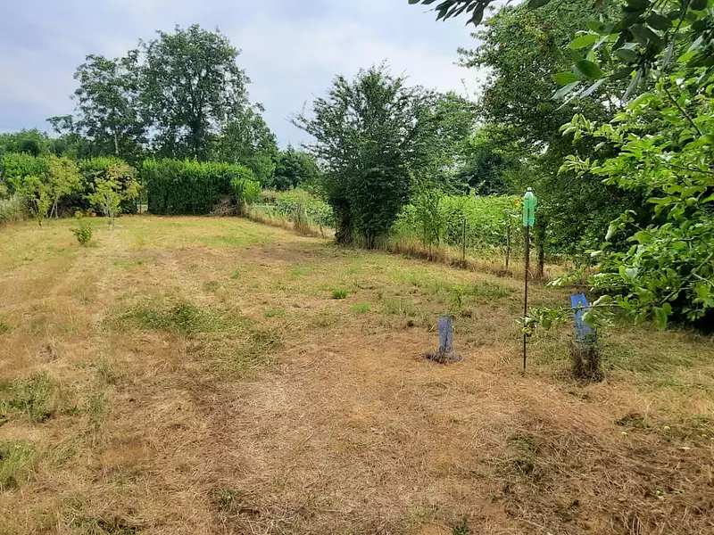 Terrain, 1 162 m²