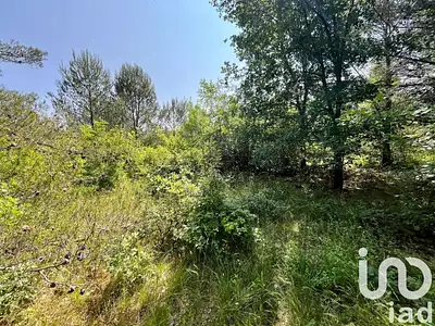Terrain, 12 527 m²