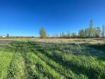 Terrain, 60 500 m²