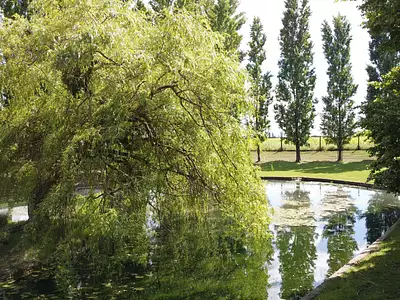 Maison, 225 m²