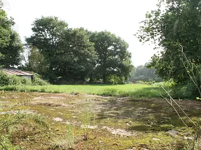 Terrain, 3 000 m²