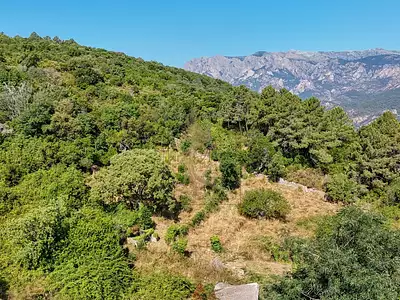 Terrain, 1 193 m²