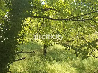 Terrain, 963 m²