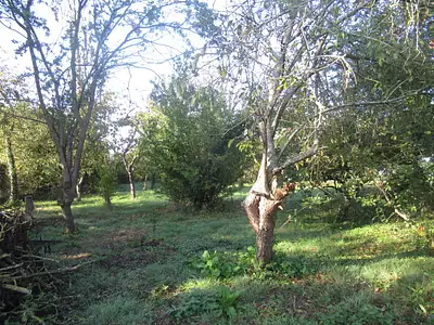 Terrain, 1 438 m²