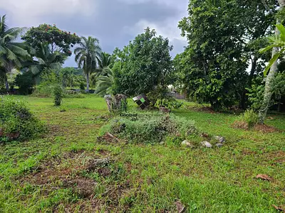 Terrain, 2 000 m²
