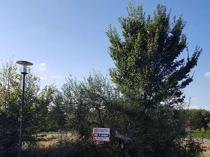 Terrain, 1 313 m²
