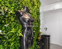 Appartement, 15,54 m²