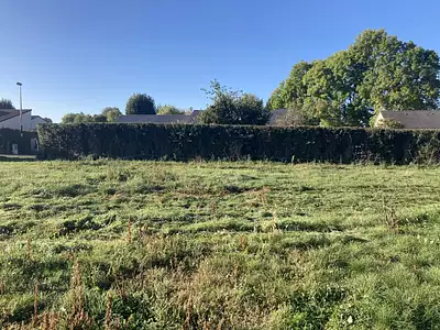 Terrain, 5 000 m²
