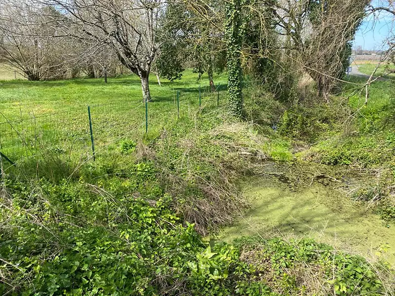 Maison, 300 m²