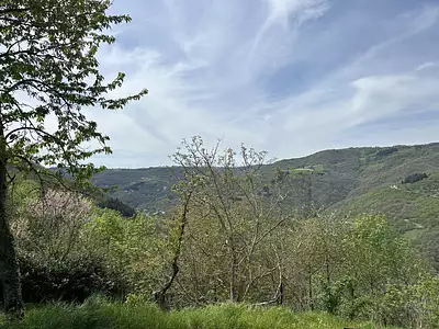 Maison, 300 m²