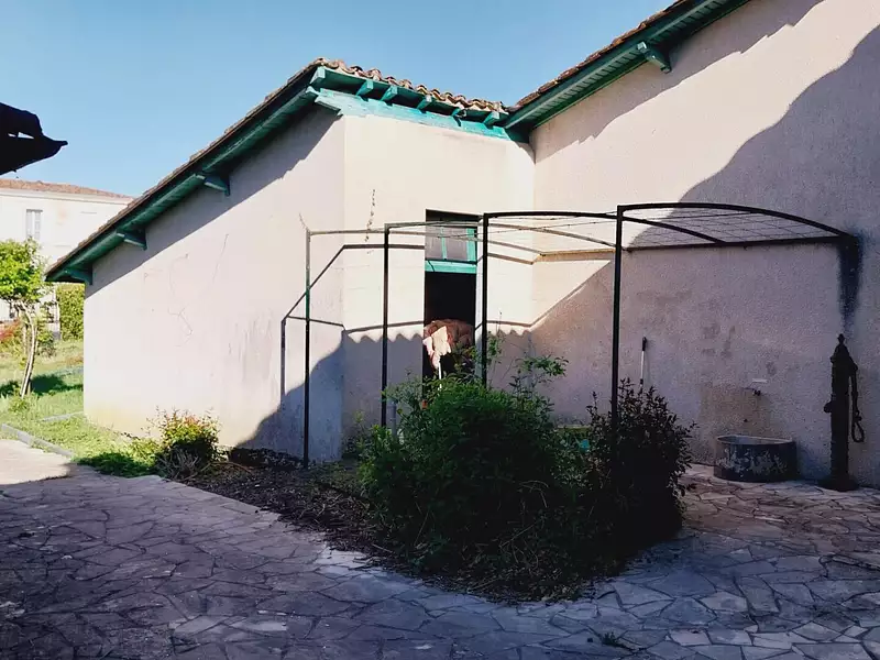 Maison, 230 m²