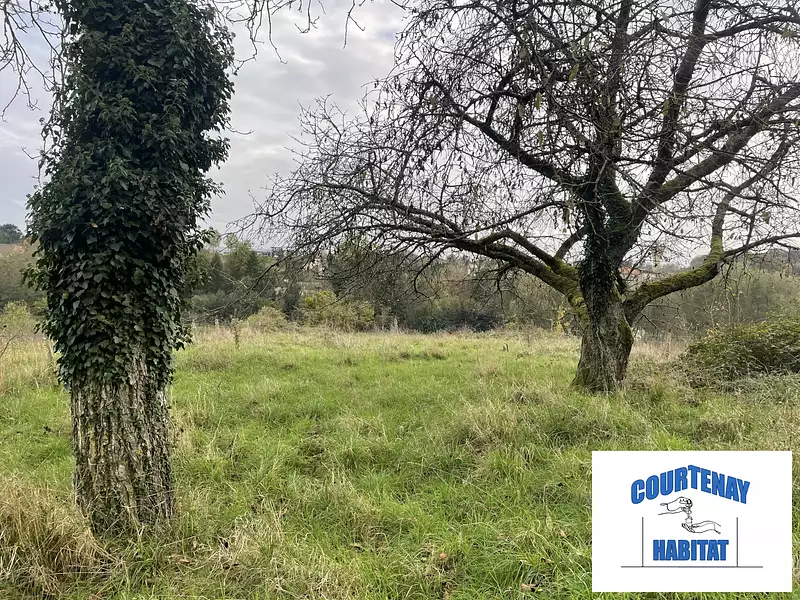 Terrain, 2 250 m²