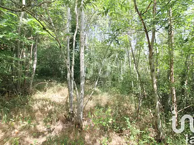 Terrain, 1 288 m²