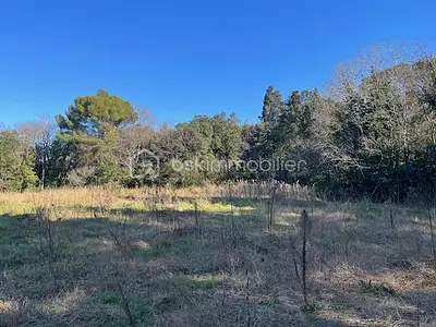 Terrain, 1 038 m²