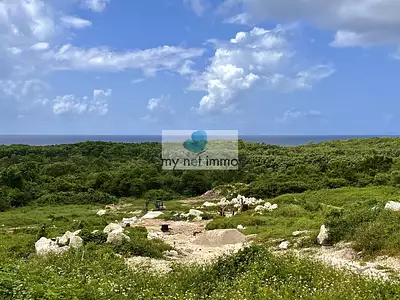 Terrain, 706 m²