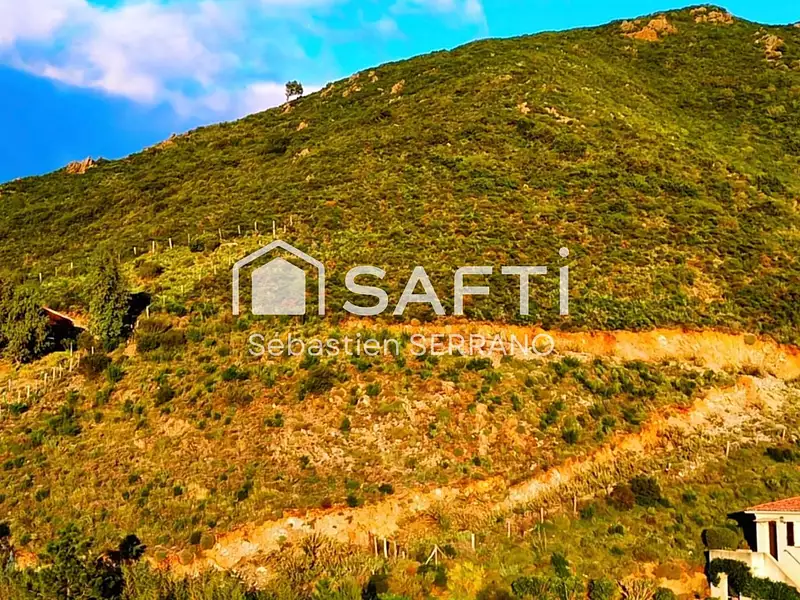Terrain, 2 597 m²