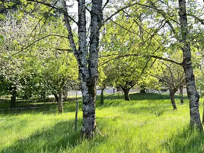 Maison, 225 m²