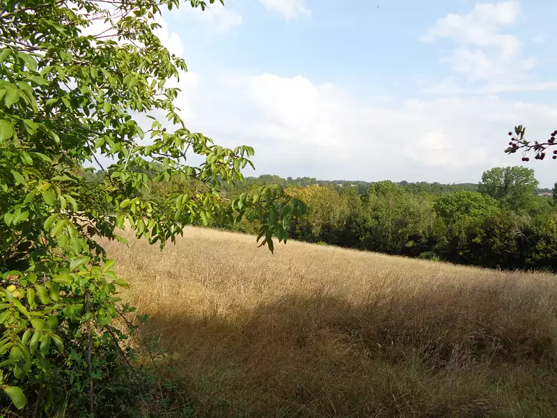 Terrain, 4 911 m²