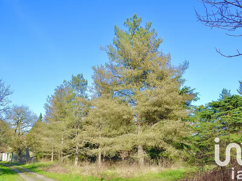 Maison, 50 m²