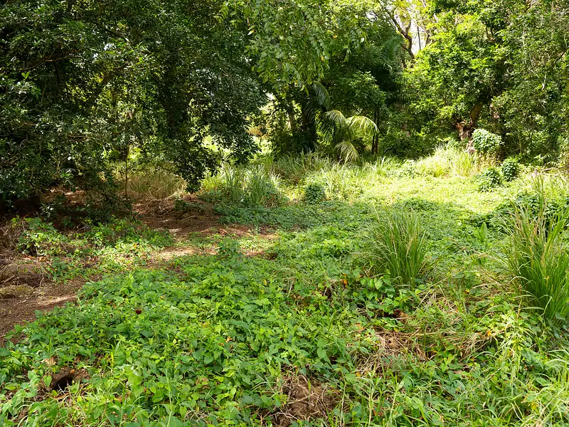 Terrain, 10 000 m²