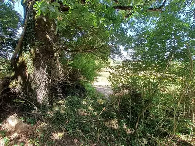Maison, 30 m²