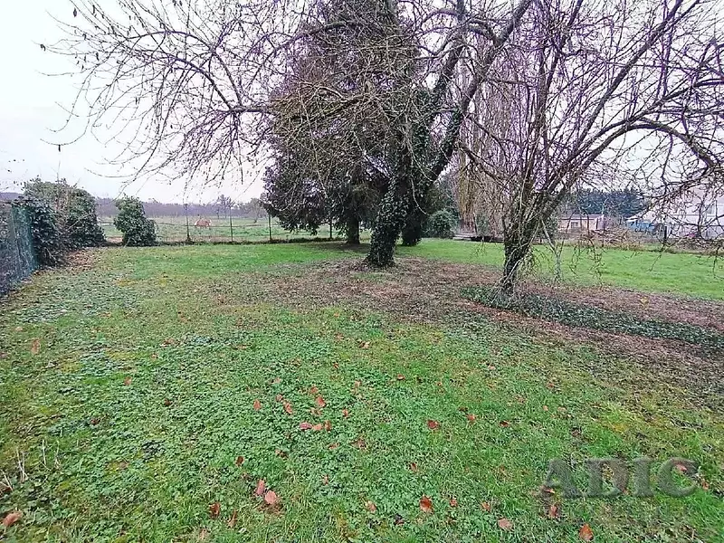 Terrain