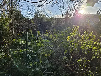 Terrain, 709 m²