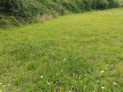 Terrain, 2 271 m²
