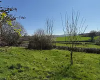 Maison, 175 m²