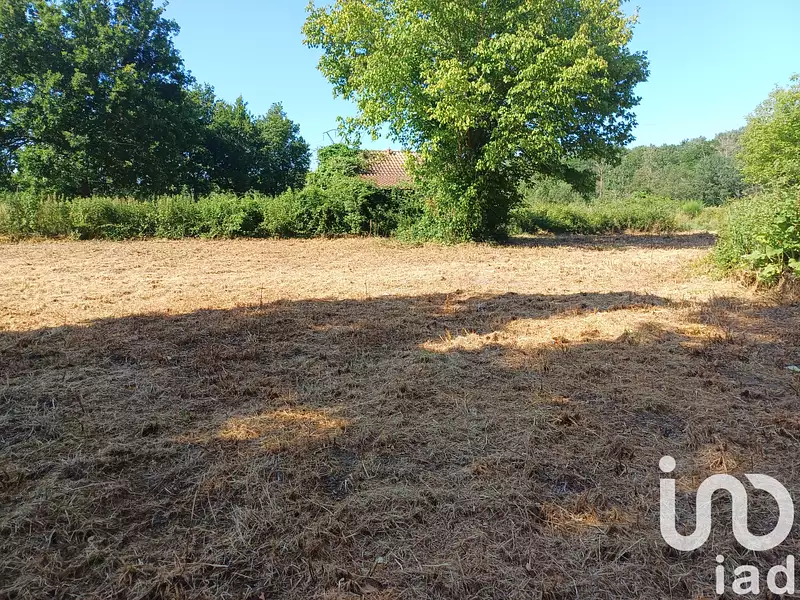 Terrain, 1 335 m²