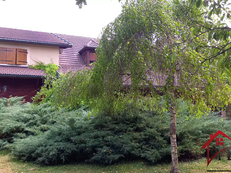 Maison, 242 m²
