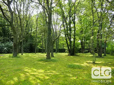 Terrain, 7 694 m²