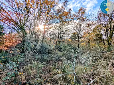 Terrain, 1 716 m²