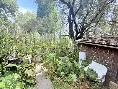 Maison, 206 m²