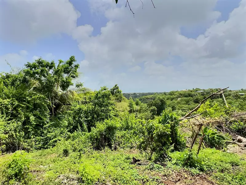 Terrain, 1 000 m²