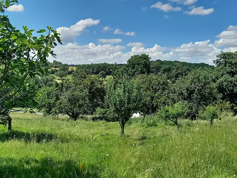 Terrain, 1 047 m²