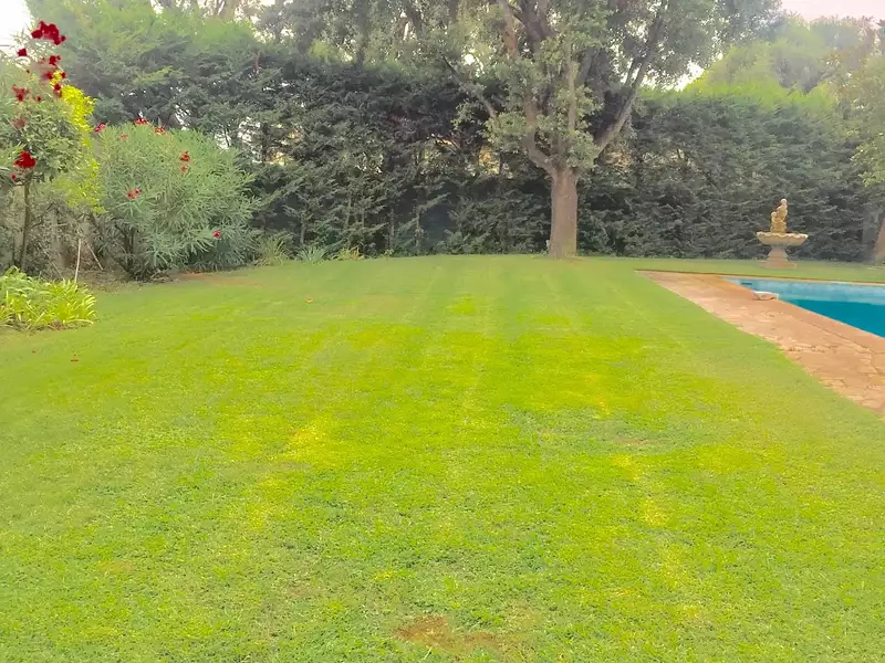 Maison, 350 m²