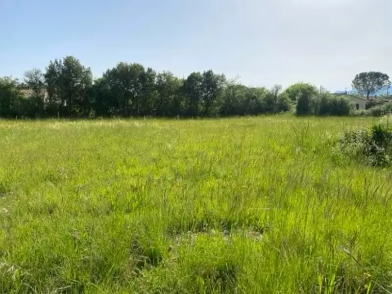 Terrain, 1 017 m²