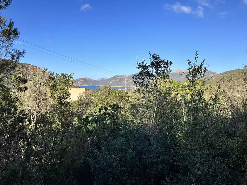 Terrain, 2 320 m²
