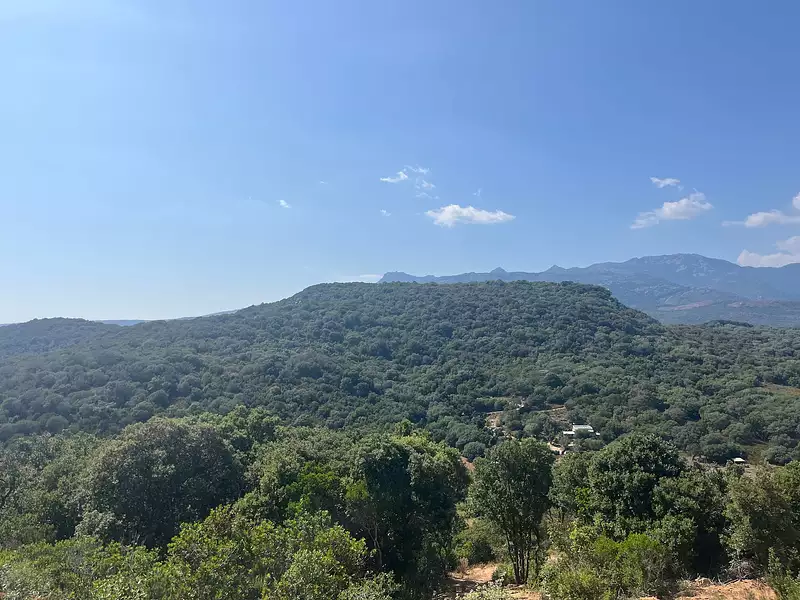 Terrain, 14 545 m²