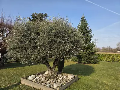 Maison, 250 m²